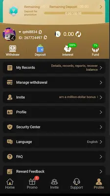 VK777 Game profile screen with withdrawal security and account options