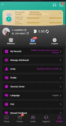 999V Game profile screen with withdrawal security records and account settings